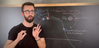 Perfil em destaque: Henrique Danielowski e sua missão de transformar vidas com hipnoterapia e desenvolvimento pessoal