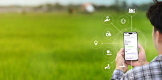 Gestão na nuvem conecta o agro ao bem-estar Imagem gerada por IA